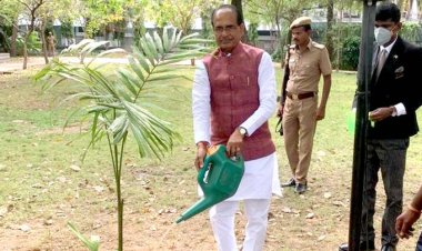 मुख्यमंत्री श्री चौहान ने चैन्नई प्रवास के दौरान पौध-रोपण किया