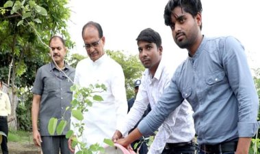 मुख्यमंत्री श्री चौहान ने नीम, खिरनी और कचनार के पौधे रोपे