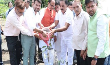 मुख्यमंत्री श्री चौहान ने बरगद, नीम, अमरूद और जामुन के पौधे रोपे