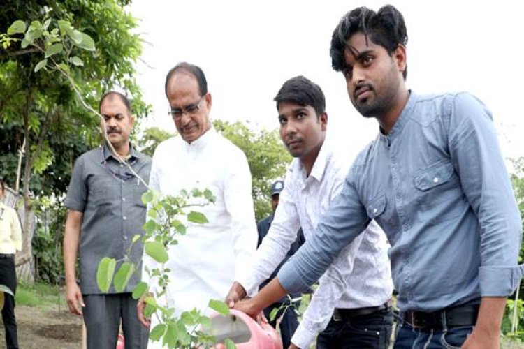 मुख्यमंत्री श्री चौहान ने नीम, खिरनी और कचनार के पौधे रोपे