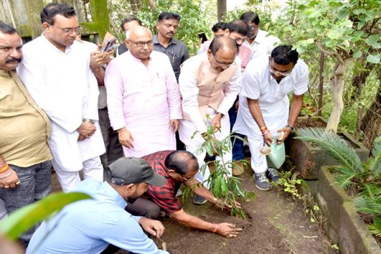 मुख्यमंत्री श्री चौहन ने सारणी में लगाया मौलश्री का पौधा