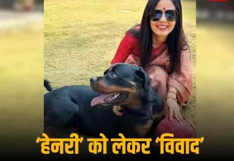 'कुत्ता लौटा दूंगी, CBI से शिकायत वापस ले लो...', महुआ मोइत्रा के 'एक्स पार्टनर' ने लगाए टीएमसी सांसद पर गंभीर आरोप