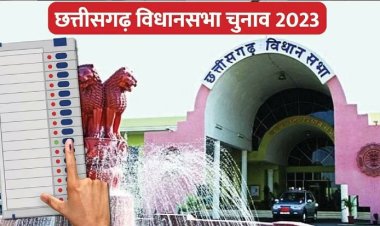 Political Analysis: पूर्व सीएम रमन के गढ़ पर है प्रदेश की निगाहें, जानें राजनांदगांव जिले की 4 सीटों की स्थिति