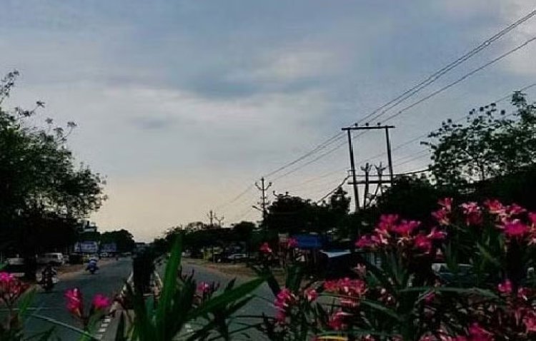 Chhattisgarh Weather News: छत्तीसगढ़ में बदल सकता है मौसम का मिजाज, तापमान बढ़ने की संभावना, कम होगी ठंड