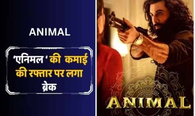 Animal Box Office Collection Day 22: 'डंकी' और 'सालार' ने ‘एनिमल’ की कमाई पर लगाया ब्रेक, चौथे फ्राइडे रणबीर की फिल्म की कमाई रही बेहद कम, जानें- कलेक्शन