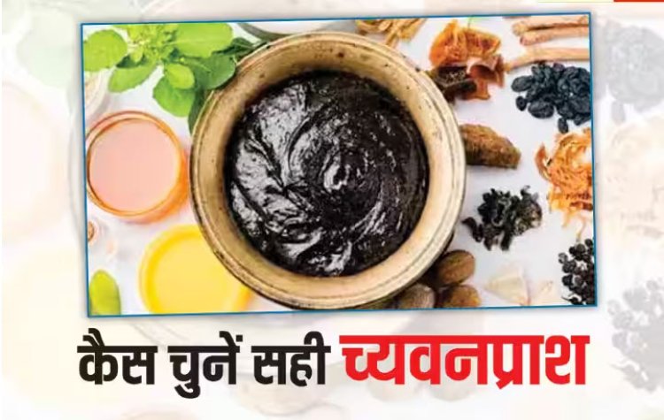 क्या है च्यवनप्राश चुनने का सही तरीका? इस तरह करेंगे सेवन तो मिलेंगे भरपूर फायदे