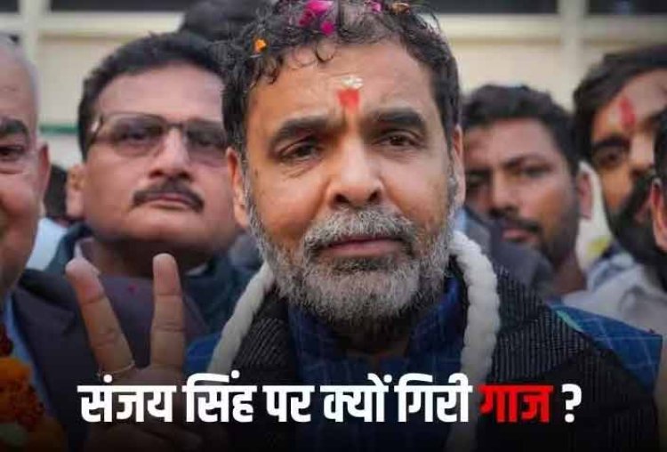 ताजपोशी के तीन दिन बाद संजय सिंह पर गिरी गाज, नए कुश्ती संघ को निलंबित करने के पीछे खेल मंत्रालय ने बताई ये वजह