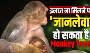 एक गलती और जानलेवा हो सकता है मंकी फीवर, जानिए एक्सपर्ट्स से बचने के उपाय