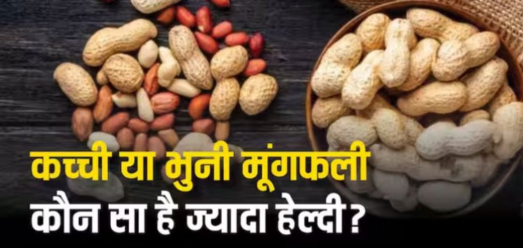 कच्ची या भुनी? दोनों में से किस तरीके से मूंगफली खाना है सेहत के लिए ज्यादा फायदेमंद