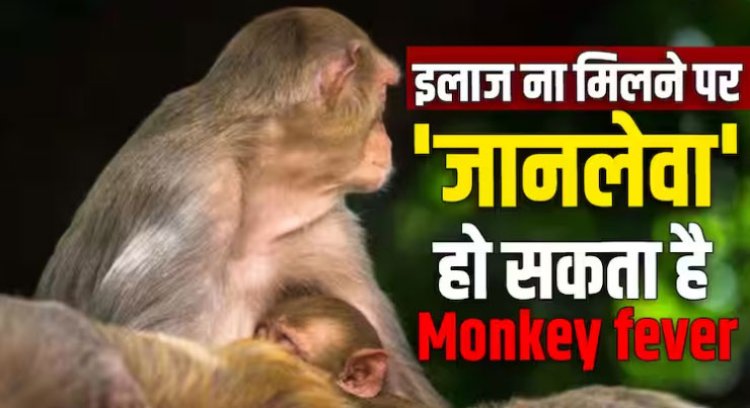 एक गलती और जानलेवा हो सकता है मंकी फीवर, जानिए एक्सपर्ट्स से बचने के उपाय