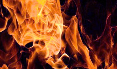 गुरुग्राम में मानसिक रूप से विक्षिप्त बेटे ने घर में लगाई आग, मां की मौत