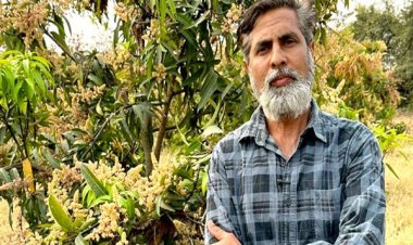 आम के बागीचे से लखपति बने किसान युवराज सिंह