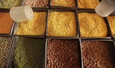 Pulse Prices: चुनावी मौसम में महंगी दाल से उड़ी नींद, सरकार ने लिया स्टॉक का जायजा