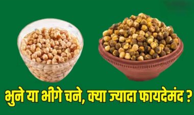 Health: रग रग में भर जाएगी एनर्जी... जब खाएंगे चने, लेकिन भीगे या भुने क्या ज्यादा फायदेमंद ? यहां जानें