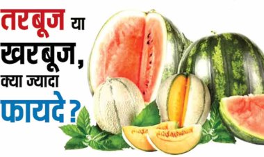 Watermelon vs Muskmelon: क्या आप भी तरबूज और खरबूज को लेकर कन्फ्यूज़न में हैं, तो यहां जानें गर्मी में कौन ज्यादा फायदेमंद