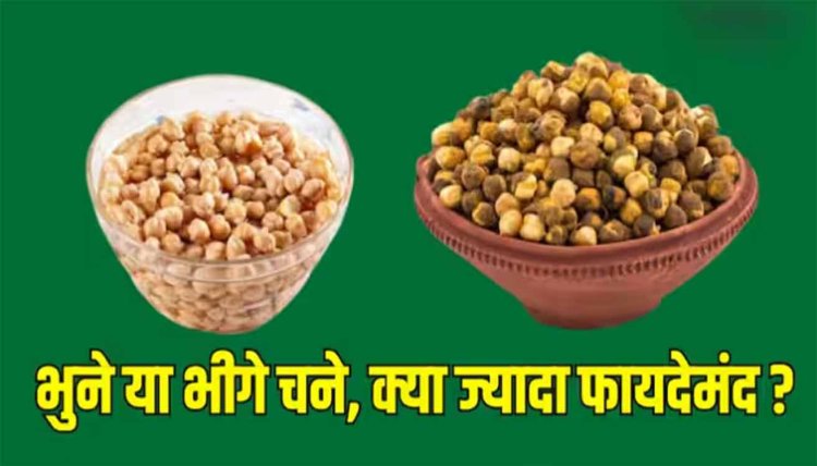 Health: रग रग में भर जाएगी एनर्जी... जब खाएंगे चने, लेकिन भीगे या भुने क्या ज्यादा फायदेमंद ? यहां जानें