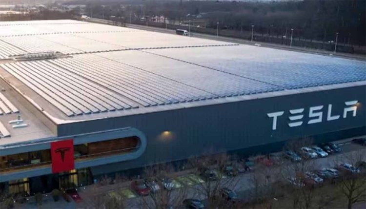 Tesla in India: ‘सिर्फ ईवी प्लांट नहीं, टेस्ला का पूरा इको सिस्टम भारत ला रहे हैं एलन मस्क’