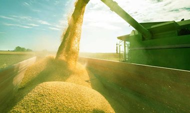 हरियाणा की 40 अनाज मंडियों में इस मंडी सीजन के दौरान अटल किसान-मजदूर कैंटीन शुरू की जाएंगी।