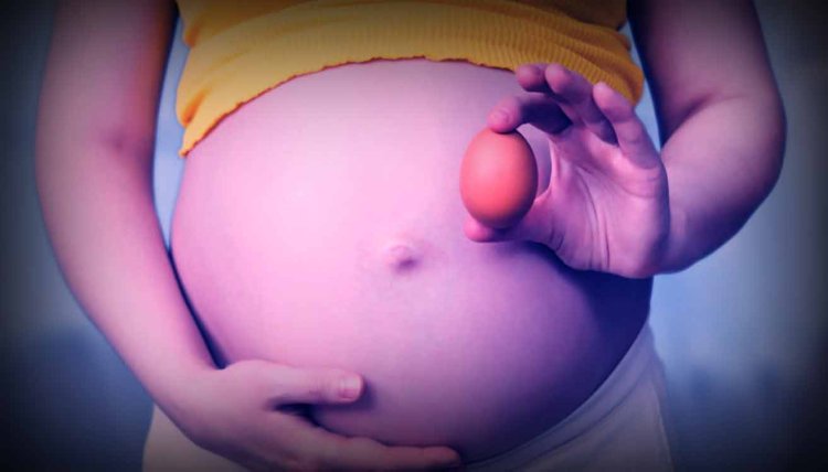 Pregnancy Diet: प्रेग्नेंसी में अंडा खाना फायदेमंद या नुकसानदायक? एक्सपर्ट्स से जानें इस सवाल का जवाब