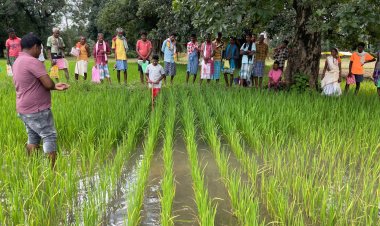 रायपुर:जिला प्रशासन के मार्गदर्शन में कृषि विभाग की अभिनव पहल