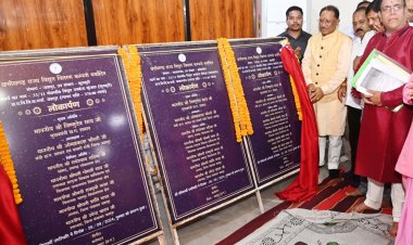 रायपुर : मुख्यमंत्री ने बगिया में किया तीन विद्युत केन्द्र का लोकार्पण