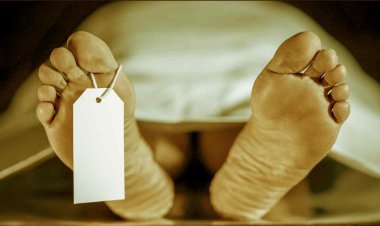 Hyderabad Woman Dies: सावधान! मोमोज ने ले ली महिला की जान, 20 से ज्यादा की हालत खराब