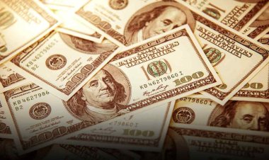 भारत का विदेशी मुद्रा भंडार 6 खरब 90 अरब 60 करोड़़ डॉलर पहुंचा