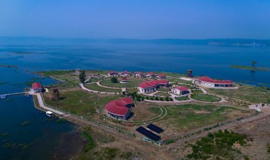 अमरीकी अखबार वॉल स्ट्रीट जर्नल ने मध्य प्रदेश को वर्ष 2025 के लिए चर्चित वैश्विक गंतव्यों में मान्यता दी