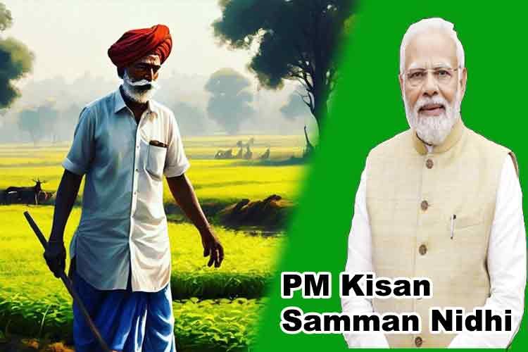 PM Kisan Samman Nidhi: 19वीं किस्त का समय, मोबाइल नंबर लिंक करने के स्टेप्स और बेनेफिशयरी स्टेटस-सब जानें