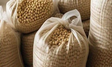 नेपाल से सोयाबीन तेल आयात में 14 गुना बढ़ोतरी, भारत में बढ़ी चिंता