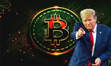 बिटकॉइन ने बनाया 1,24,210 डॉलर का नया रिकॉर्ड, फेड नीति और ट्रंप प्रशासन के कदमों से बढ़ा क्रिप्टो बाजार