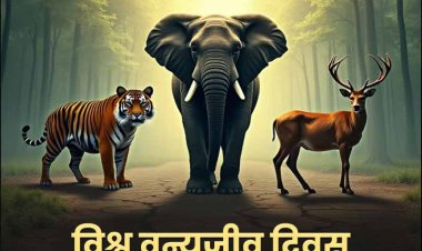 जंगली जानवरों और पौधों के संरक्षण के लिए हर वर्ष आज ही के दिन मनाया जाता है ‘विश्व वन्यजीव दिवस’