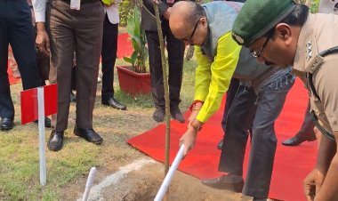 रायपुर : राज्यपाल श्री रमेन डेका ने कोरबा कलेक्ट्रेट परिसर में ’एक पेड़ माँ के नाम अभियान‘ अंतर्गत किया पौधारोपण