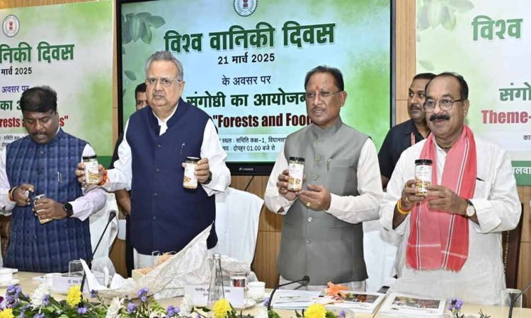 रायपुर : ऑक्सीजोन की तरह पूरे देश को ऑक्सीजन प्रदान कर रहा है छत्तीसगढ़ – मुख्यमंत्री श्री विष्णुदेव साय