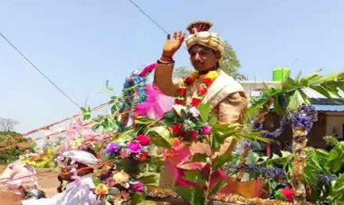 बैलगाड़ी में निकली बारात, कांकेर के मुसुरपुट्टा गांव में अनोखी शादी बनी चर्चा का विषय