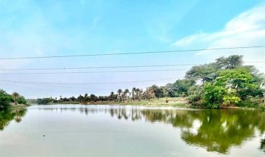 प्रधानमंत्री श्री मोदी 31 मई को क्षिप्रा नदी पर 778 करोड़ के घाट निर्माण कार्यों का भोपाल से करेंगे वर्चुअल भूमि-पूजन