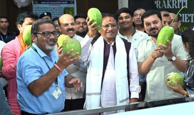 रायपुर : आम की खेेती किसानों की आय बढ़ाने में मददगार : मुख्यमंत्री श्री विष्णु देव साय