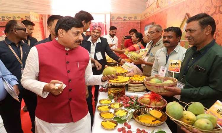 मुख्यमंत्री डॉ. यादव ने बॉम्बे ग्रीन और मणि प्रभा किस्म का स्वाद चख कर "आम महोत्सव" का किया शुभारंभ