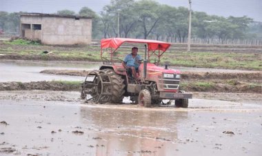 रायपुर : जिले में खेती-किसानी के कार्यों में आयी गति