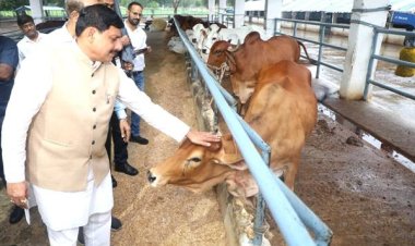 पशुपालन से किसानों की बढ़ेगी आय, बनेंगे आत्मनिर्भर