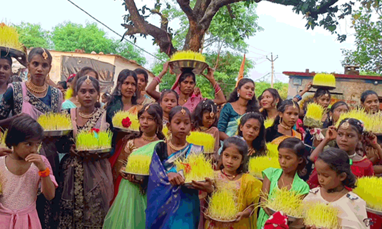 छत्तीसगढ़ में भोजली पर्व: मित्रता, फसल और संस्कृति का संगम