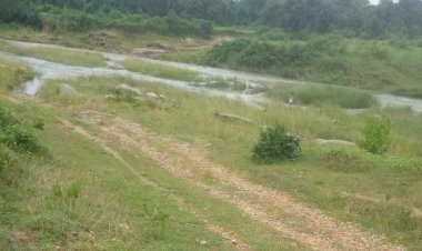 रायपुर : भालूमुंडा-खेजूरघाट मार्ग पर कोकिया नदी पर बनेगा 3 करोड़ 32 लाख की लागत से उच्च स्तरीय पुल