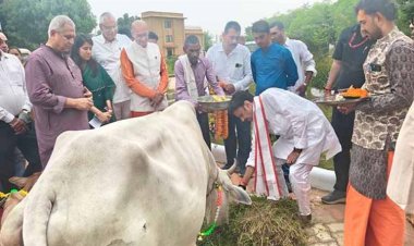गोवर्धन पूजा प्रकृति से जुड़े रहने की देती है सीख- उप मुख्यमंत्री श्री शुक्ल