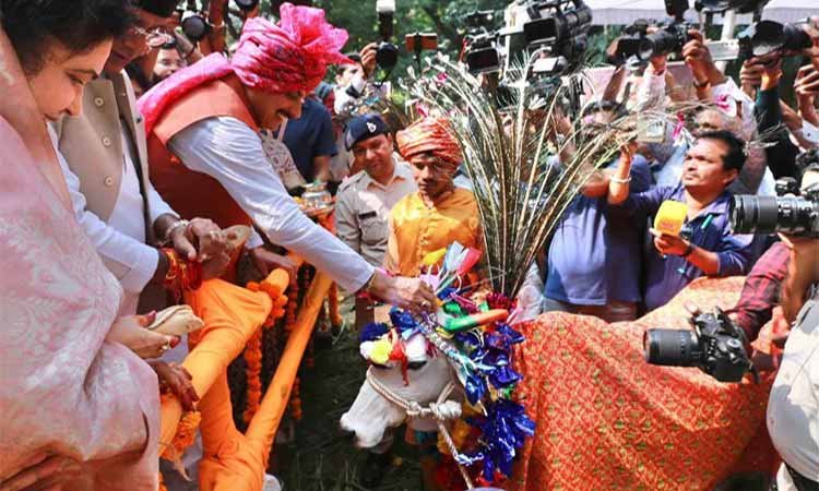 गोवर्धन और गौवंश की पूजा पर्यावरण और पशुधन संवर्धन का देती है संदेश : मुख्यमंत्री डॉ. यादव